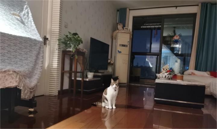 拥金一个点 中庭采光好 配套成熟 主卧送衣帽间 楼下河边公园 拥金一个点 中庭采光好 配套成熟 主卧送衣帽间 楼下河边公园