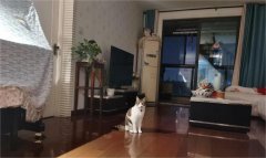 拥金一个点 中庭采光好 配套成熟 主卧送衣帽间 楼下河边公园 拥金一个点 中庭采光好 配套成熟 主卧送衣帽间 楼下河边公园